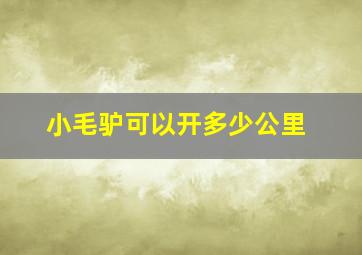 小毛驴可以开多少公里