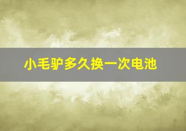 小毛驴多久换一次电池