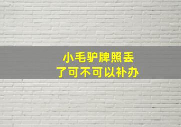 小毛驴牌照丢了可不可以补办