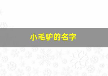 小毛驴的名字