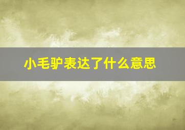 小毛驴表达了什么意思