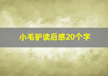 小毛驴读后感20个字