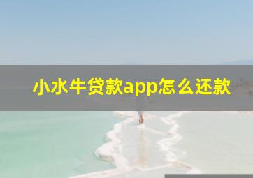 小水牛贷款app怎么还款