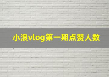 小浪vlog第一期点赞人数