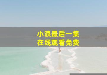 小浪最后一集在线观看免费