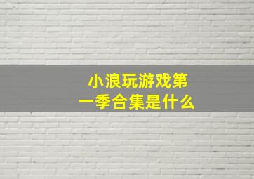 小浪玩游戏第一季合集是什么