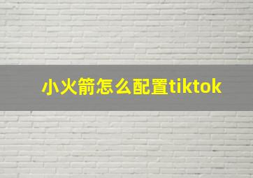 小火箭怎么配置tiktok