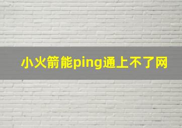 小火箭能ping通上不了网