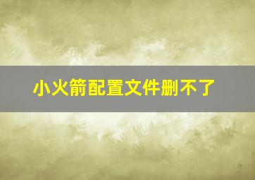 小火箭配置文件删不了