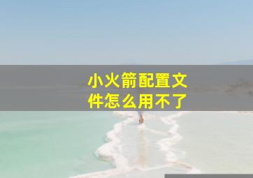 小火箭配置文件怎么用不了