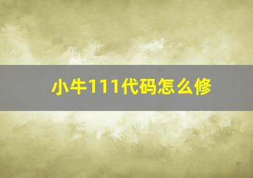 小牛111代码怎么修