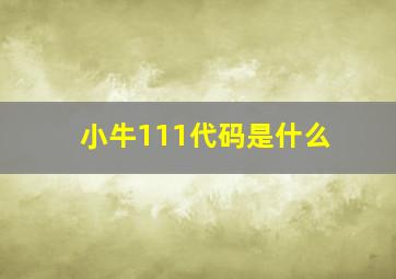 小牛111代码是什么