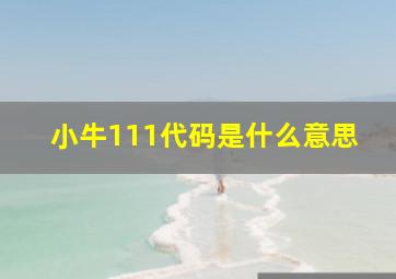 小牛111代码是什么意思