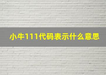 小牛111代码表示什么意思