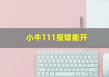 小牛111报错能开