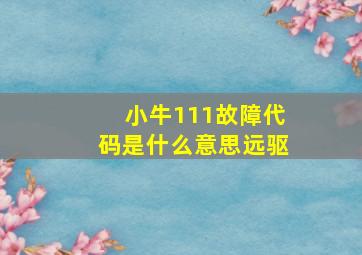 小牛111故障代码是什么意思远驱