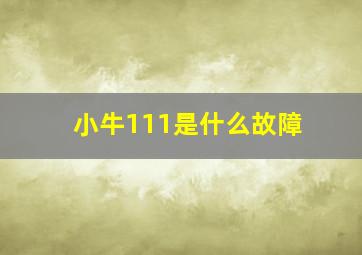 小牛111是什么故障