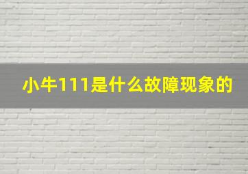 小牛111是什么故障现象的