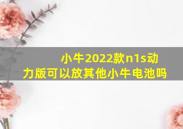 小牛2022款n1s动力版可以放其他小牛电池吗