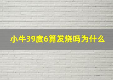 小牛39度6算发烧吗为什么