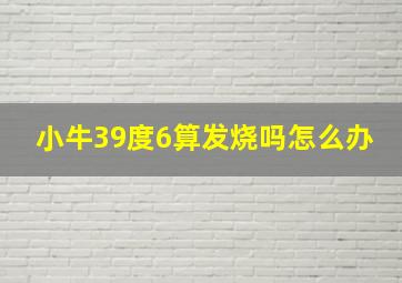 小牛39度6算发烧吗怎么办