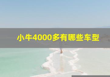 小牛4000多有哪些车型