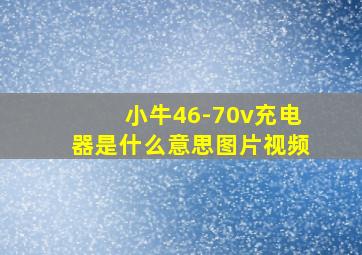 小牛46-70v充电器是什么意思图片视频