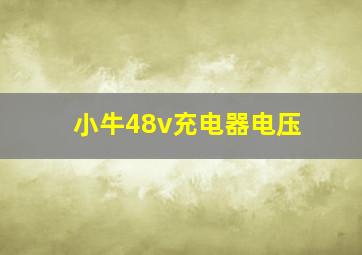 小牛48v充电器电压