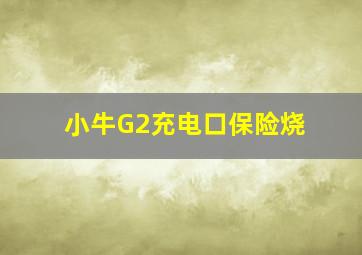 小牛G2充电口保险烧