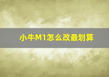 小牛M1怎么改最划算