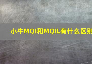 小牛MQI和MQIL有什么区别