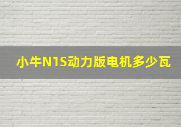 小牛N1S动力版电机多少瓦