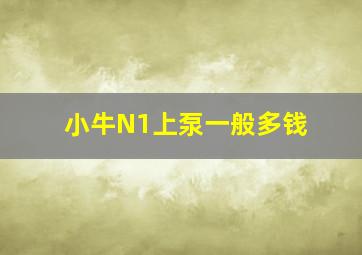 小牛N1上泵一般多钱