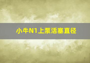 小牛N1上泵活塞直径