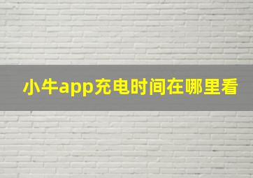 小牛app充电时间在哪里看