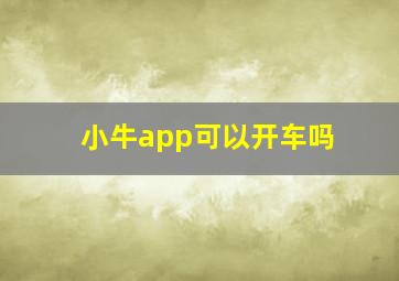 小牛app可以开车吗