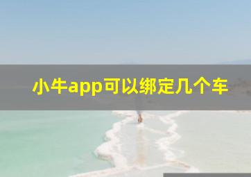 小牛app可以绑定几个车