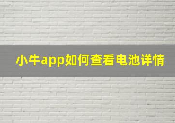 小牛app如何查看电池详情