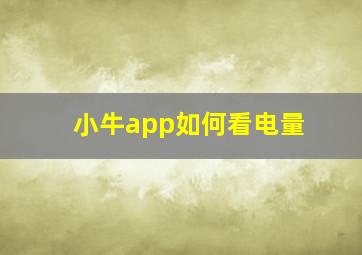 小牛app如何看电量