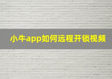 小牛app如何远程开锁视频