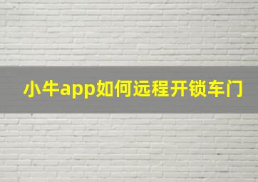 小牛app如何远程开锁车门