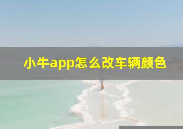 小牛app怎么改车辆颜色