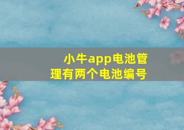 小牛app电池管理有两个电池编号