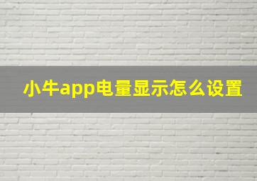 小牛app电量显示怎么设置