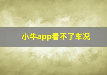 小牛app看不了车况