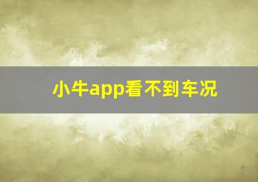 小牛app看不到车况