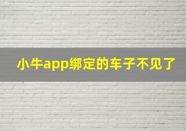 小牛app绑定的车子不见了