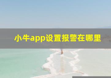 小牛app设置报警在哪里