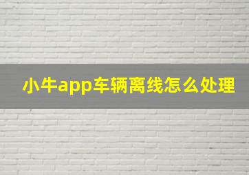 小牛app车辆离线怎么处理