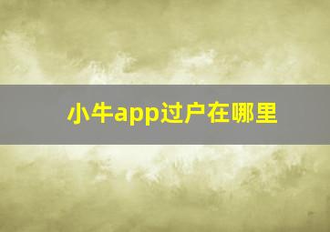 小牛app过户在哪里